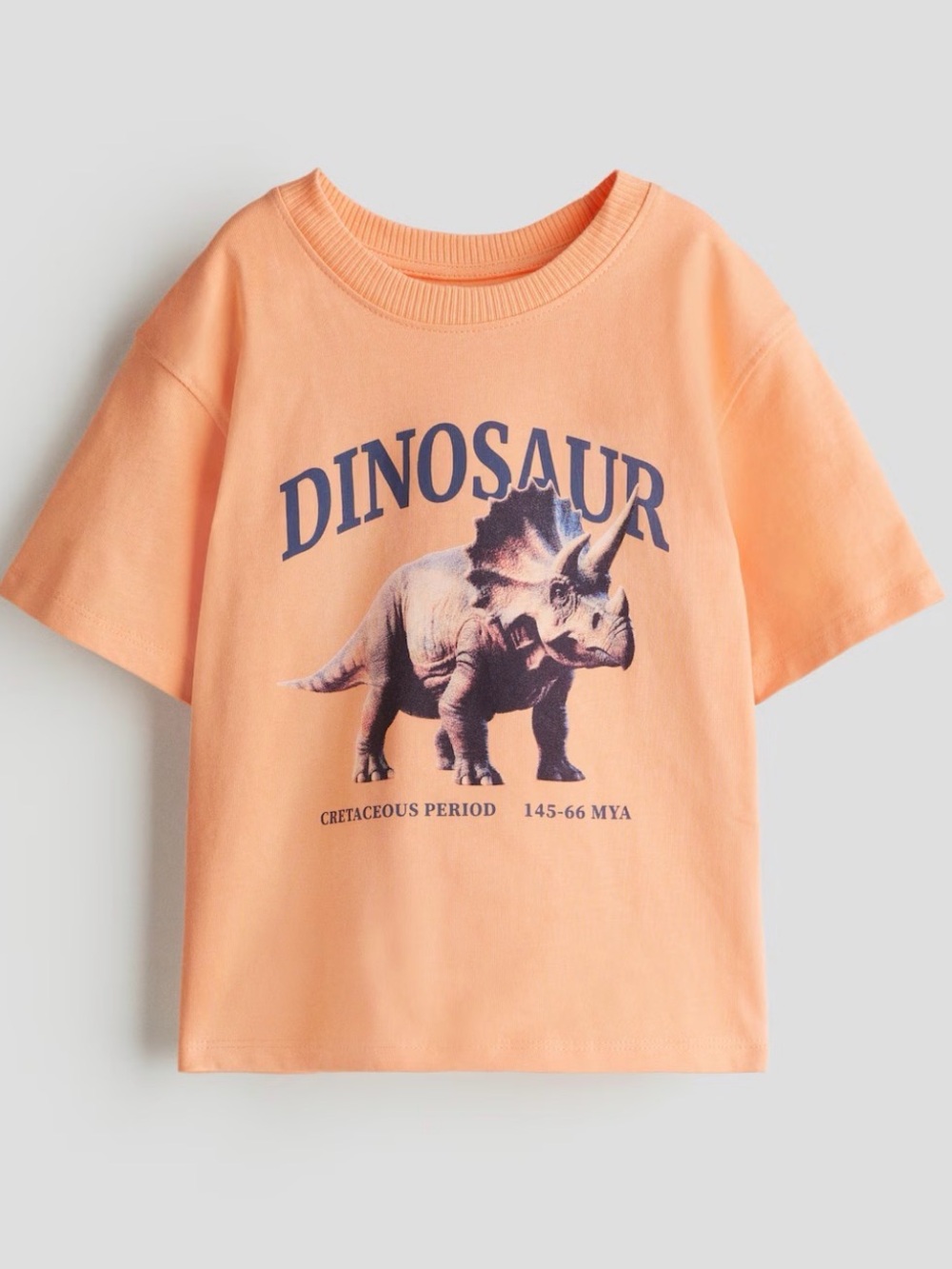 H&M Kids Dinosaur Graphic Tee - Peach